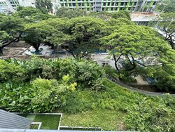 The Woodleigh Residences (D13), Apartment #501788831